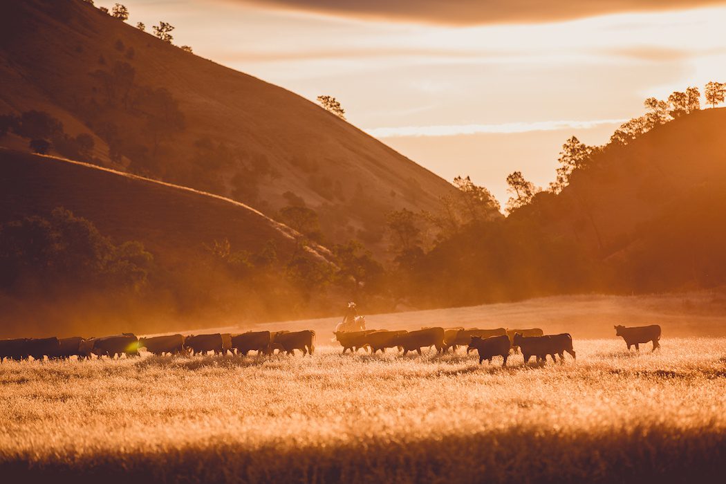 Shasta Farm Equipment – SD News Shasta Farm Equipment - SD News