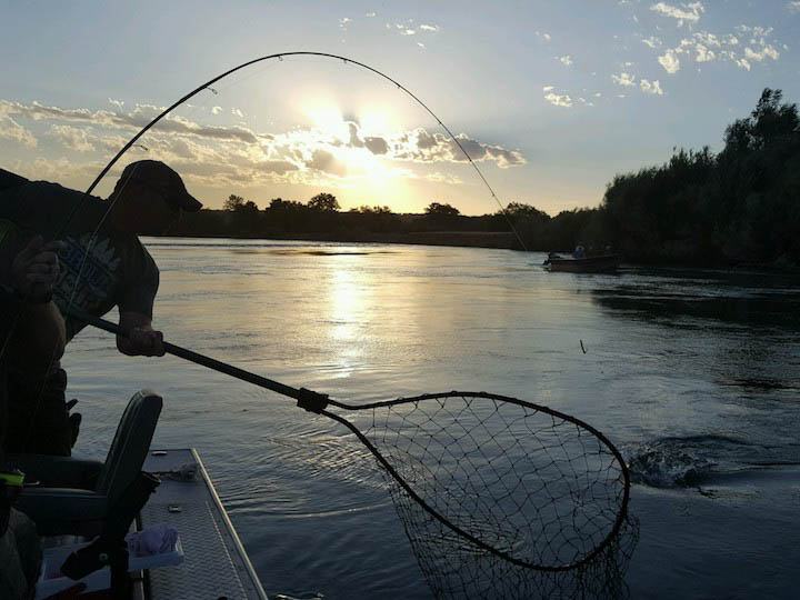 River Pursuit Guide - Sundial Design